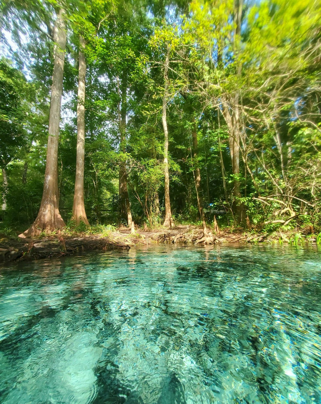 Diagnosing Cloudy Pool Water Issues on the Treasure Coast and Solutions - POOL EMPORIUM