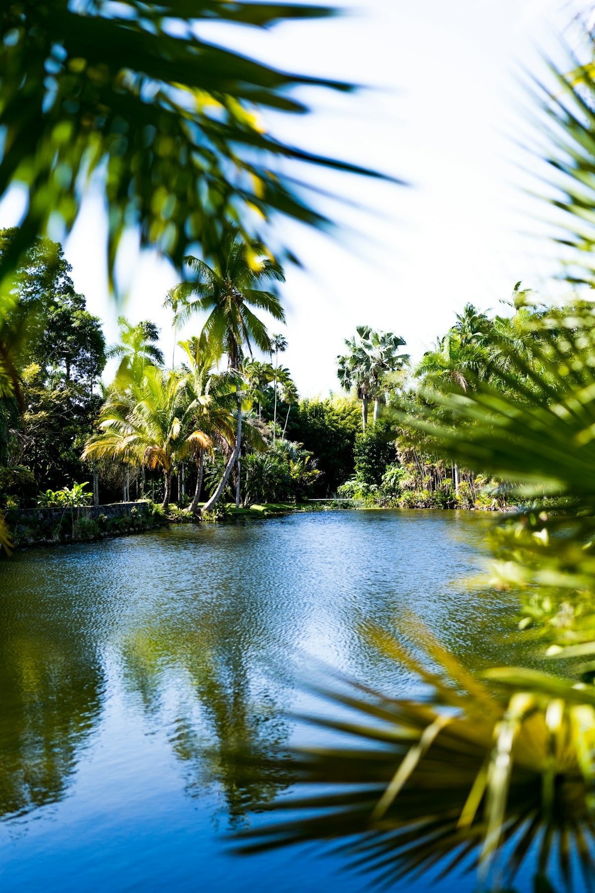 Finding the Best Local Pool Service Company in Port St Lucie - POOL EMPORIUM