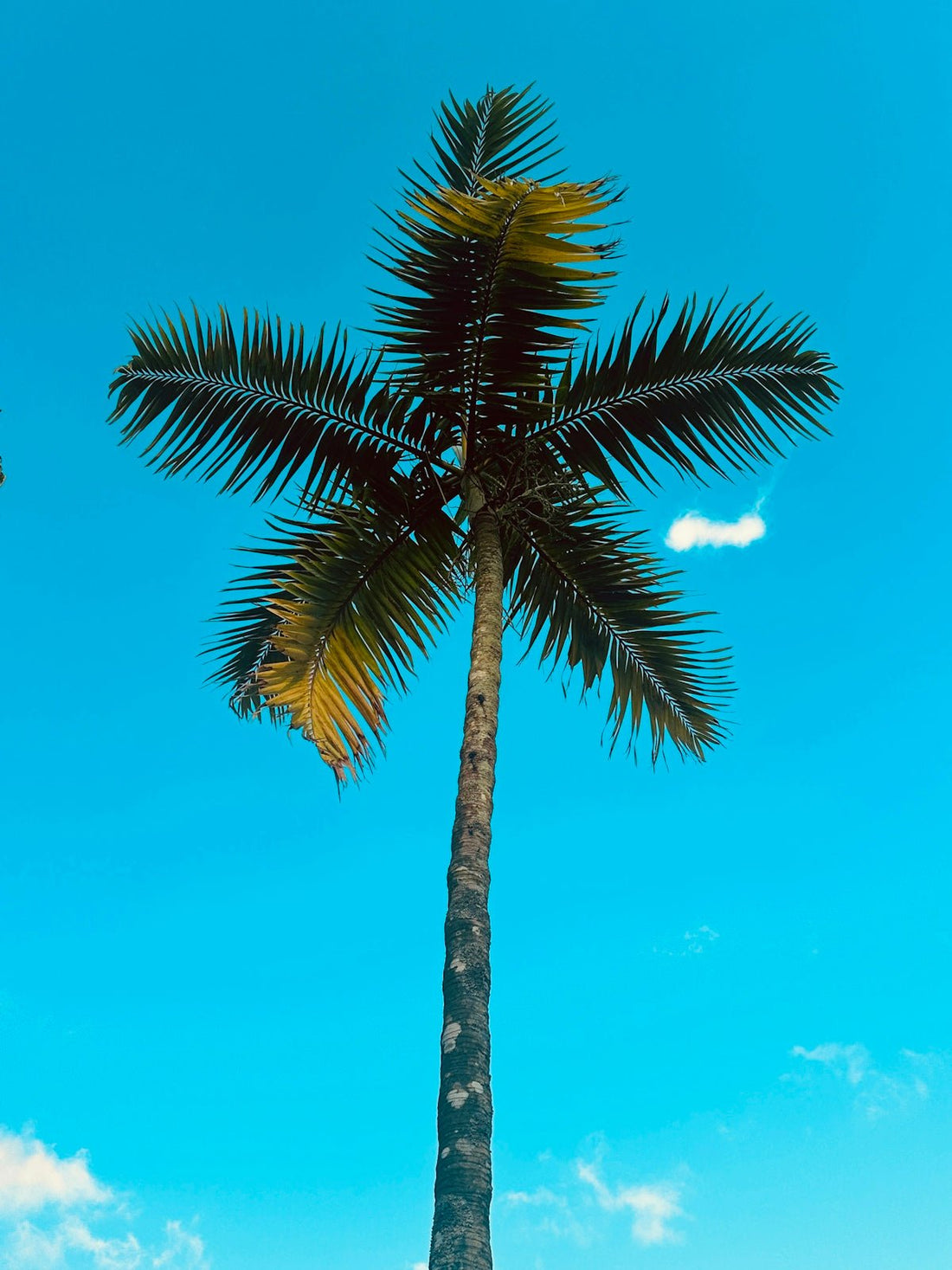 How Pool Equipment Affects Your Maintenance in Port St. Lucie Homes - POOL EMPORIUM