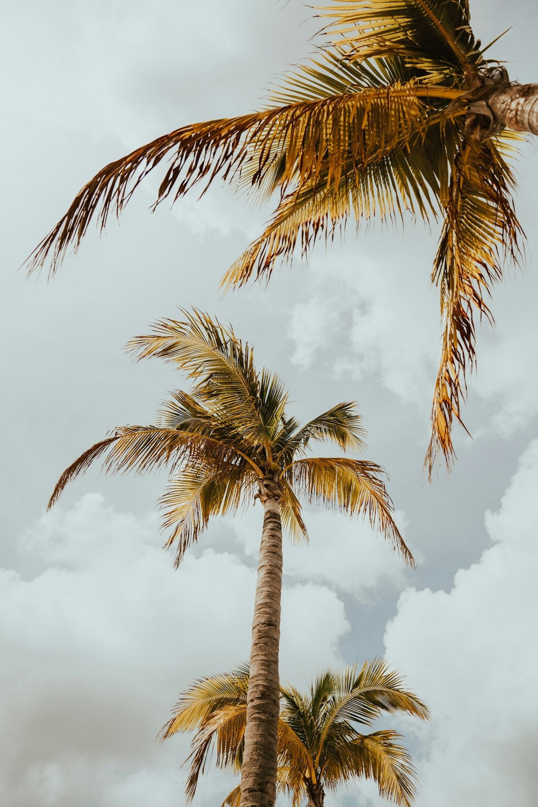 Pentair and Hayward Pool Pumps: Finding the Right Fit for Florida's Climate - POOL EMPORIUM