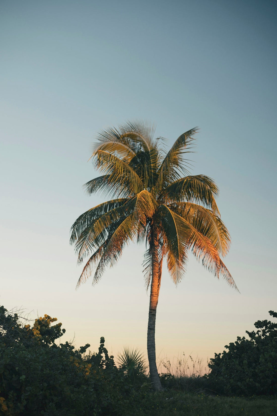 Preparing Florida Pools for Hurricane Season: A Treasure Coast Homeowner's Handbook - POOL EMPORIUM