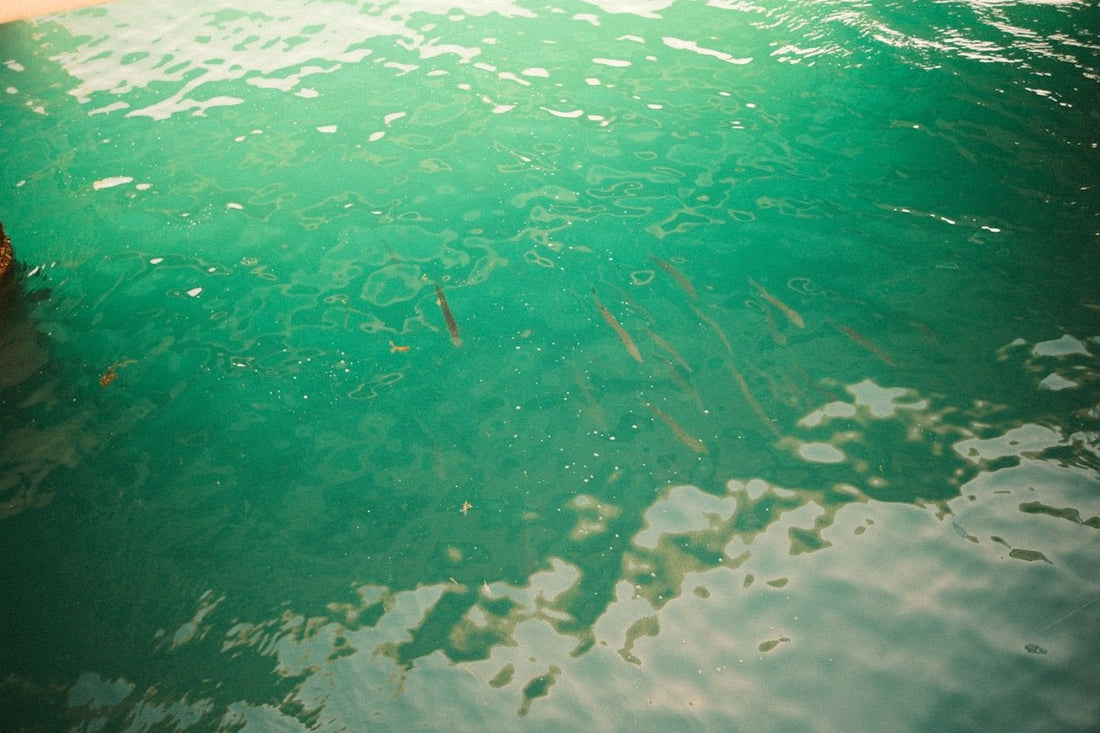 Resolving Why Your Pool Turns Cloudy After Shocking: Florida Insights - POOL EMPORIUM