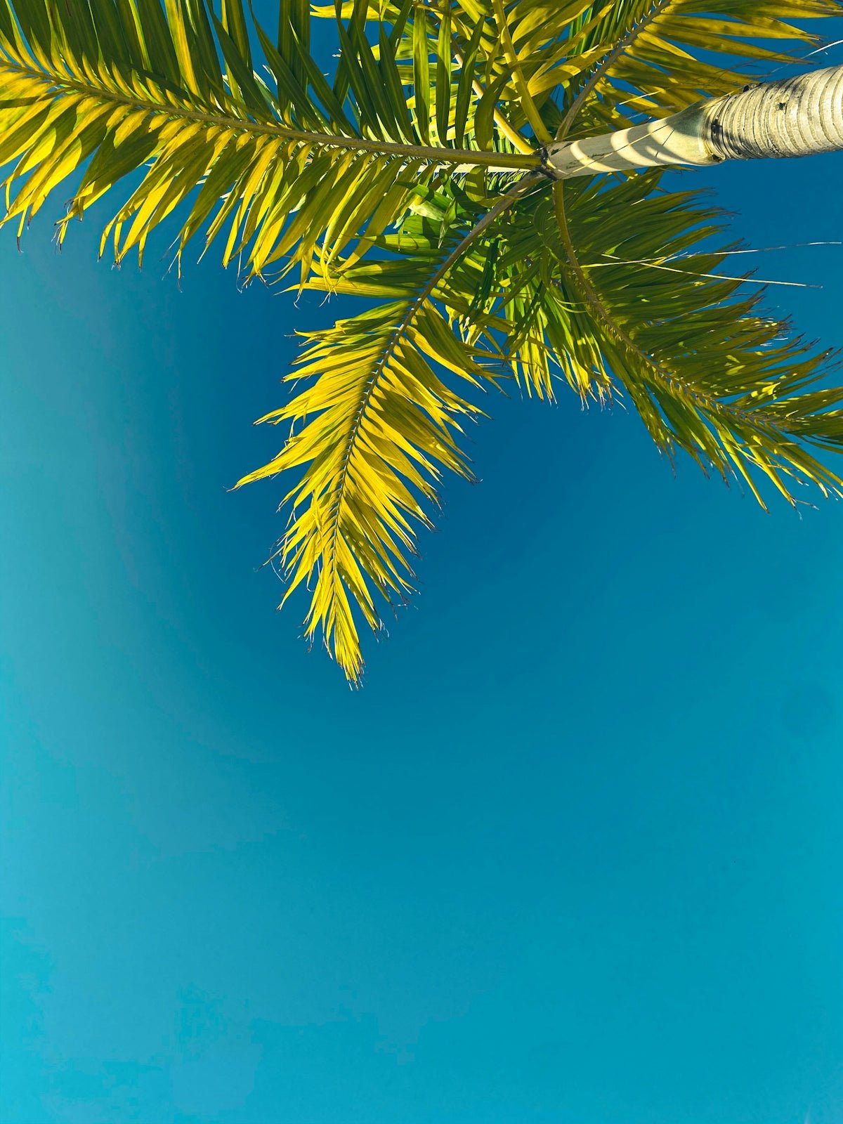 Tailoring Pool Inspections to Suit Every Treasure Coast Homeowner's Checklist - POOL EMPORIUM
