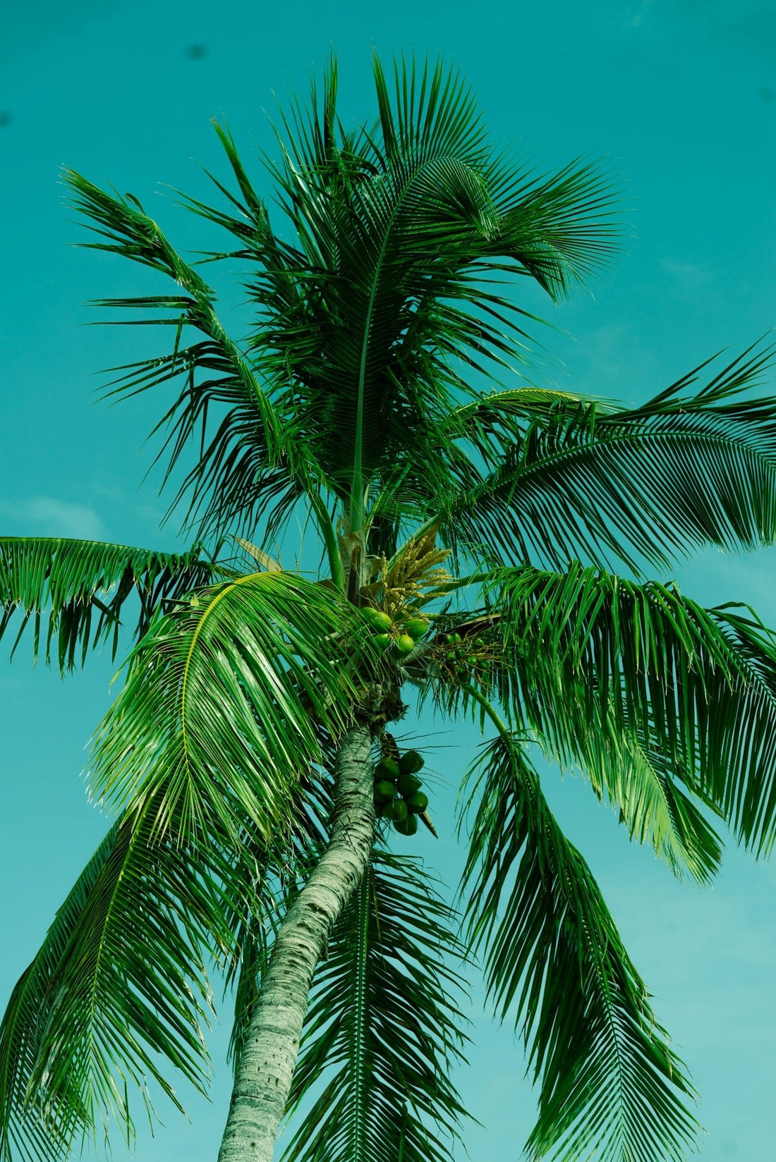 Top Pool Maintenance Challenges in Fort Pierce: Solutions from Local Experts - POOL EMPORIUM