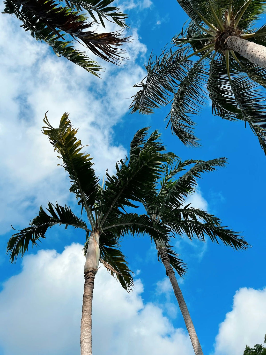 Unraveling the Mysteries of Pool Water Chemistry in Fort Pierce - POOL EMPORIUM