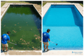Green - to - Clean Service - POOL EMPORIUM